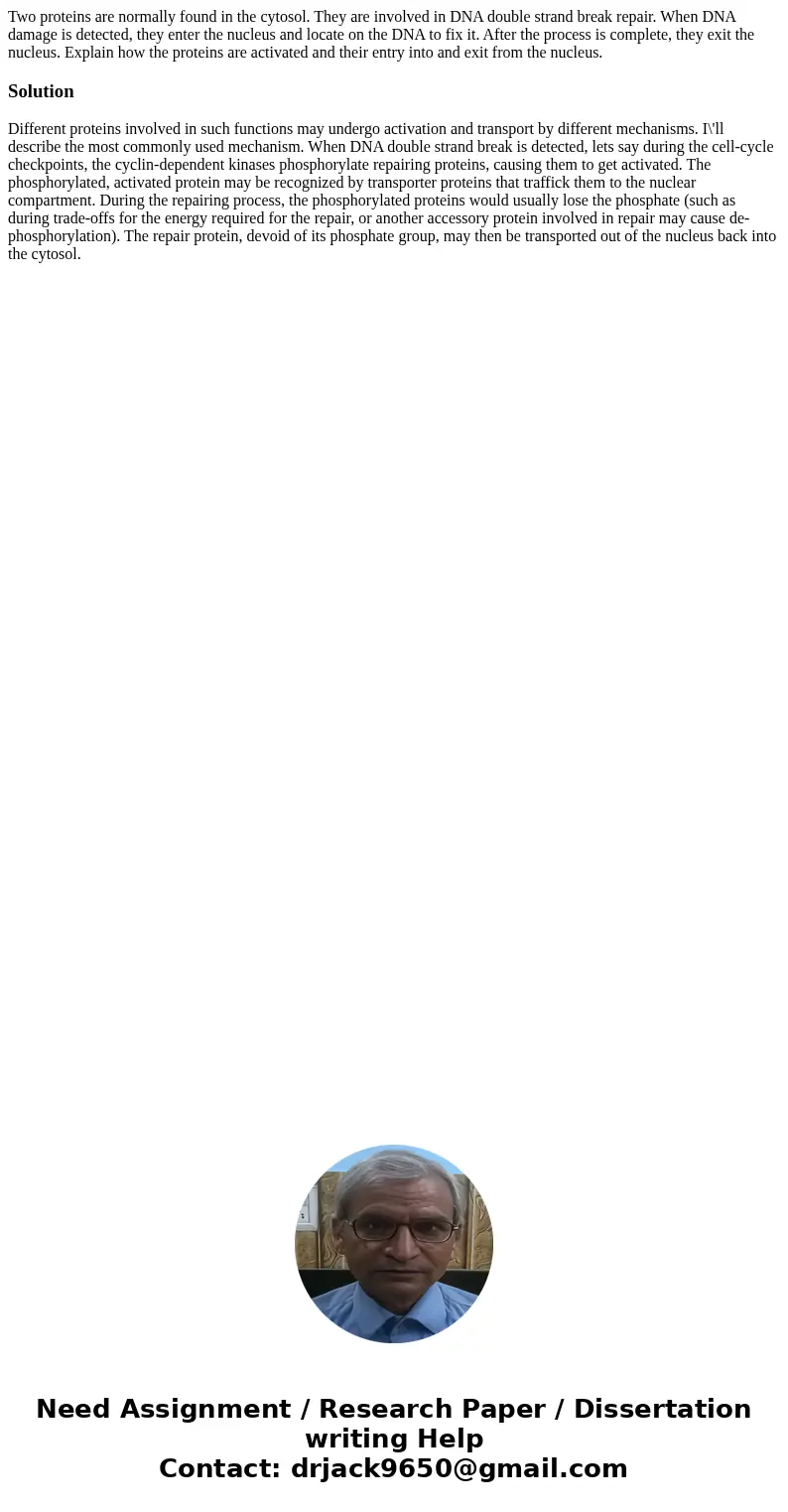 Two proteins are normally found in the cytosol. They are involved in DNA double strand break repair. When DNA damage is detected, they enter the nucleus and lo  Two proteins are normally found in the cytosol. They are involved in DNA double strand break repair. When DNA damage is detected, they enter the nucleus and lo