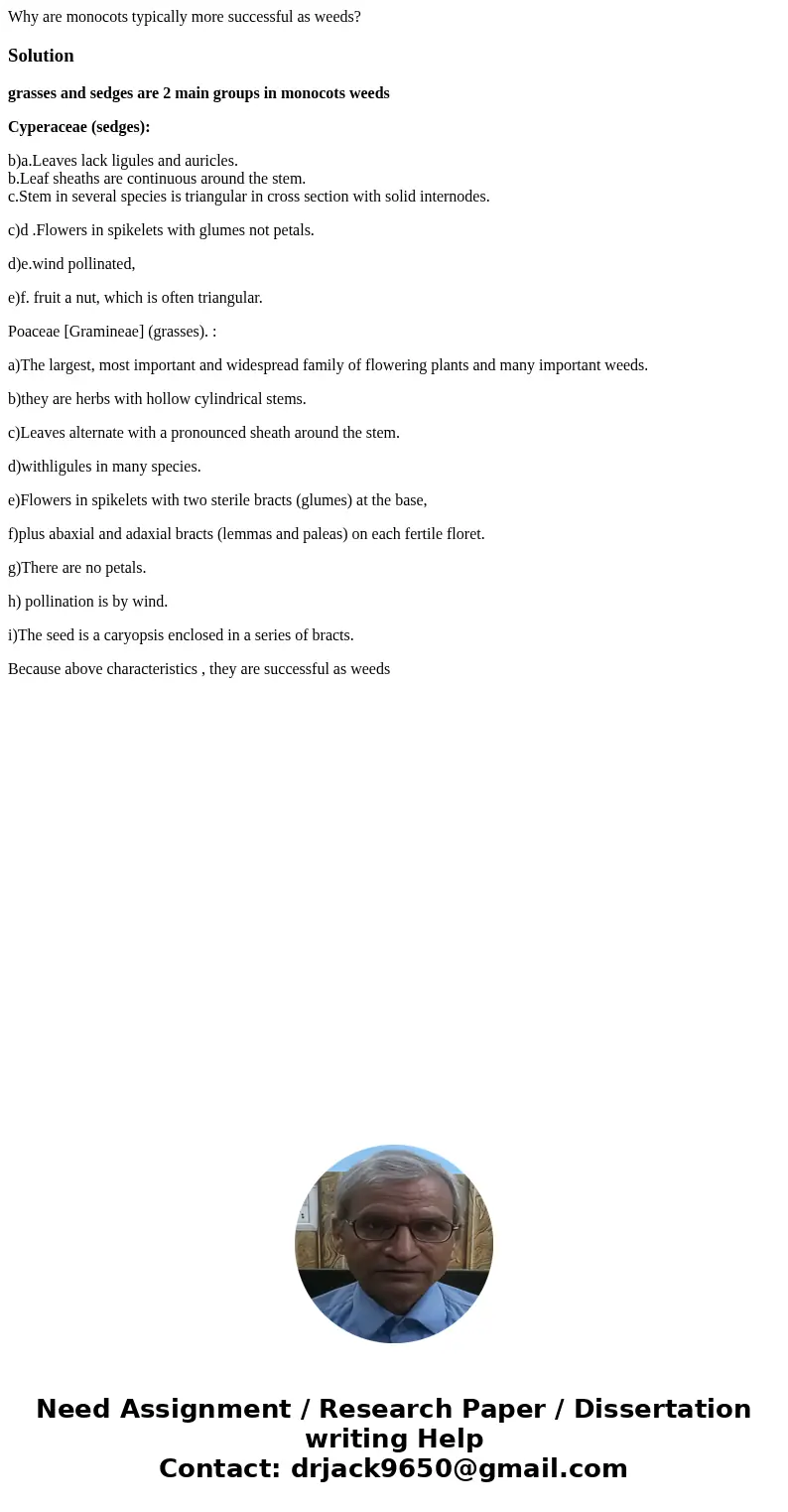Why are monocots typically more successful as weeds?Solutiongrasses and sedges are 2 main groups in monocots weeds Cyperaceae (sedges): b)a.Leaves lack ligules  Why are monocots typically more successful as weeds?Solutiongrasses and sedges are 2 main groups in monocots weeds Cyperaceae (sedges): b)a.Leaves lack ligules
