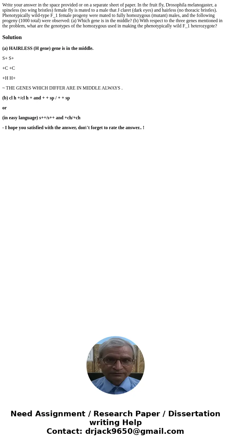 Write your answer in the space provided or on a separate sheet of paper. In the fruit fly, Drosophila melanogaster, a spineless (no wing bristles) female fly i  Write your answer in the space provided or on a separate sheet of paper. In the fruit fly, Drosophila melanogaster, a spineless (no wing bristles) female fly i