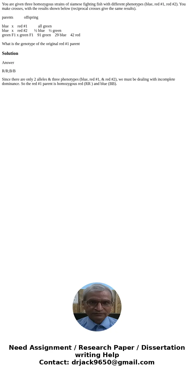 You are given three homozygous strains of siamese fighting fish with different phenotypes (blue, red #1, red #2). You make crosses, with the results shown below You are given three homozygous strains of siamese fighting fish with different phenotypes (blue, red #1, red #2). You make crosses, with the results shown below