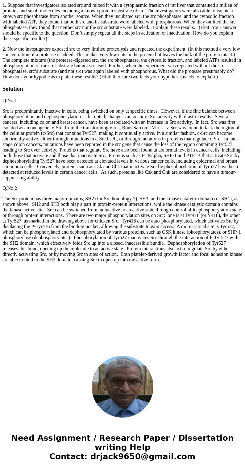 1. Suppose that investigators isolated src and mixed it with a cytoplasmic fraction of rat liver that contained a milieu of proteins and small molecules includi 1. Suppose that investigators isolated src and mixed it with a cytoplasmic fraction of rat liver that contained a milieu of proteins and small molecules includi