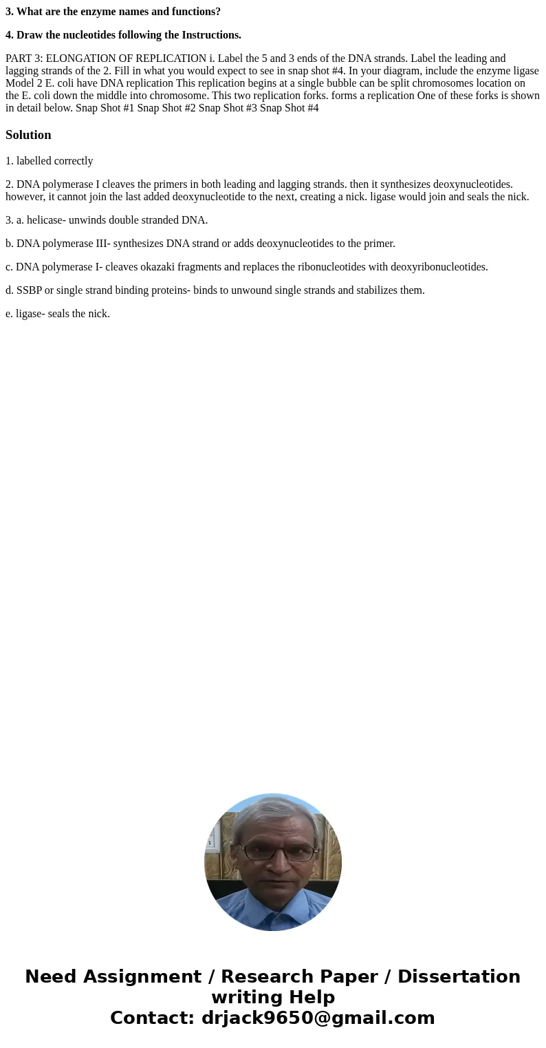 3. What are the enzyme names and functions? 4. Draw the nucleotides following the Instructions. PART 3: ELONGATION OF REPLICATION i. Label the 5 and 3 ends of t