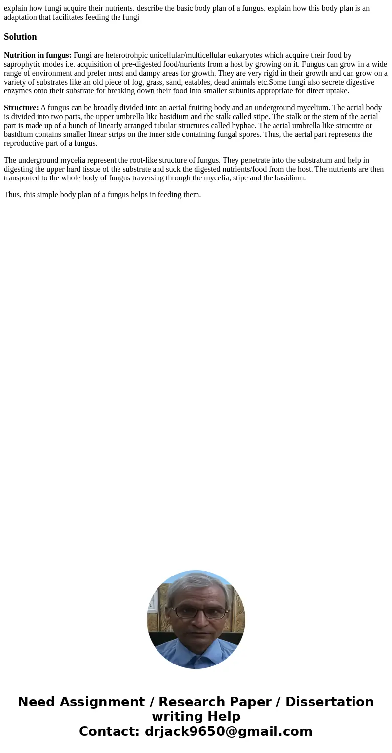 explain how fungi acquire their nutrients. describe the basic body plan of a fungus. explain how this body plan is an adaptation that facilitates feeding the fu explain how fungi acquire their nutrients. describe the basic body plan of a fungus. explain how this body plan is an adaptation that facilitates feeding the fu