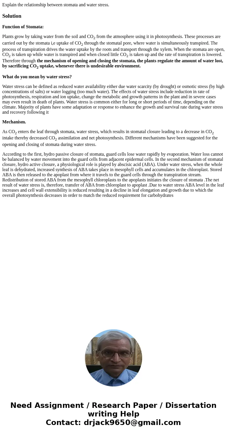 Explain the relationship between stomata and water stress.SolutionFunction of Stomata: Plants grow by taking water from the soil and CO2 from the atmosphere usi Explain the relationship between stomata and water stress.SolutionFunction of Stomata: Plants grow by taking water from the soil and CO2 from the atmosphere usi