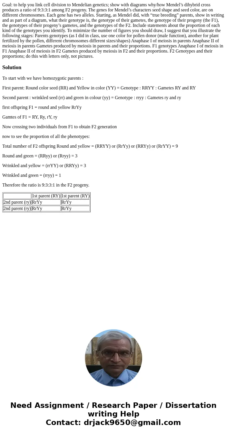 Goal: to help you link cell division to Mendelian genetics; show with diagrams why/how Mendel’s dihybrid cross produces a ratio of 9:3:3:1 among F2 progeny. The Goal: to help you link cell division to Mendelian genetics; show with diagrams why/how Mendel’s dihybrid cross produces a ratio of 9:3:3:1 among F2 progeny. The