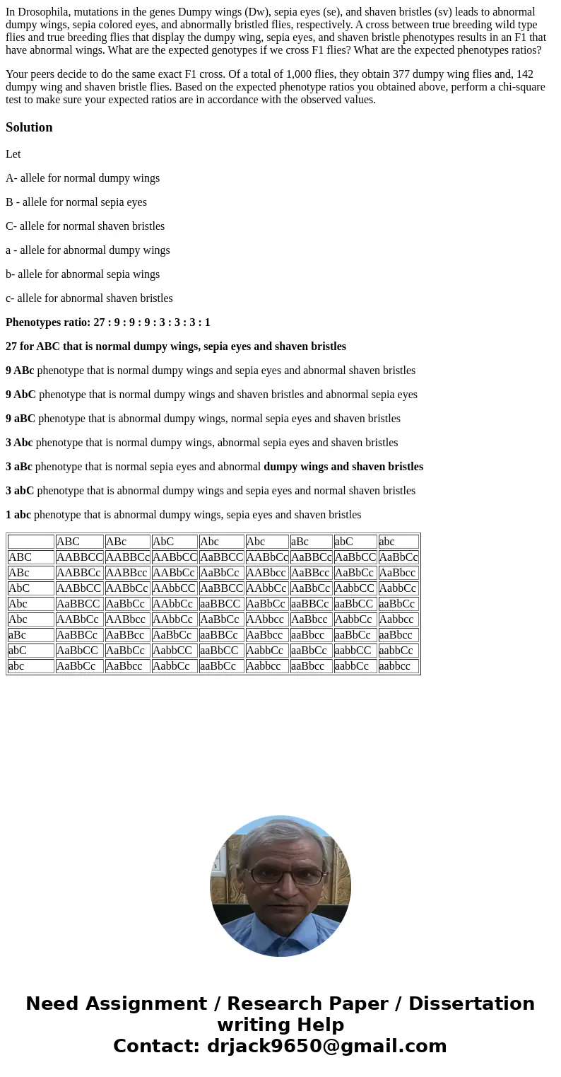In Drosophila, mutations in the genes Dumpy wings (Dw), sepia eyes (se), and shaven bristles (sv) leads to abnormal dumpy wings, sepia colored eyes, and abnorma In Drosophila, mutations in the genes Dumpy wings (Dw), sepia eyes (se), and shaven bristles (sv) leads to abnormal dumpy wings, sepia colored eyes, and abnorma