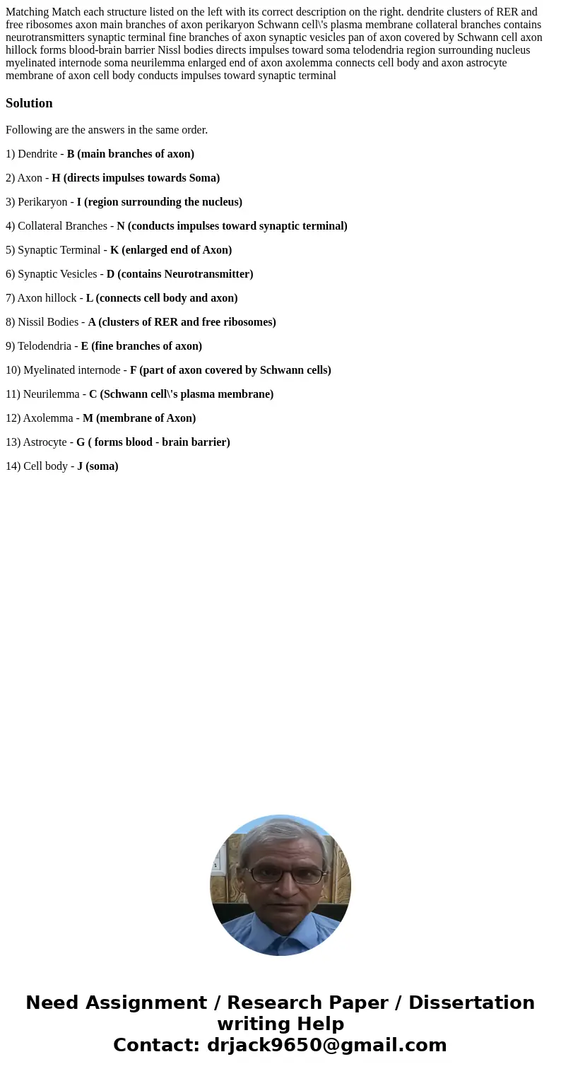 Matching Match each structure listed on the left with its correct description on the right. dendrite clusters of RER and free ribosomes axon main branches of a  Matching Match each structure listed on the left with its correct description on the right. dendrite clusters of RER and free ribosomes axon main branches of a