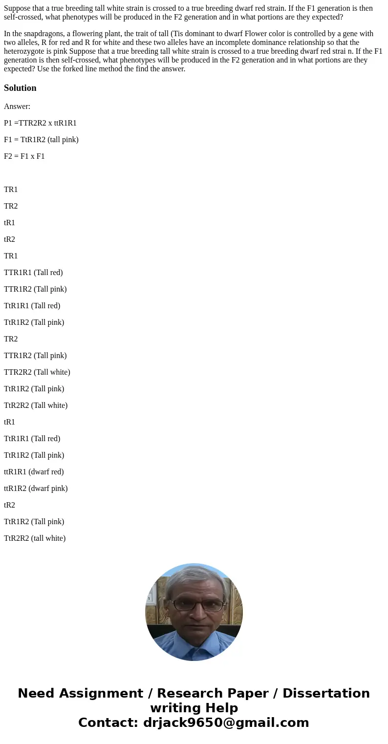 Suppose that a true breeding tall white strain is crossed to a true breeding dwarf red strain. If the F1 generation is then self-crossed, what phenotypes will b Suppose that a true breeding tall white strain is crossed to a true breeding dwarf red strain. If the F1 generation is then self-crossed, what phenotypes will b