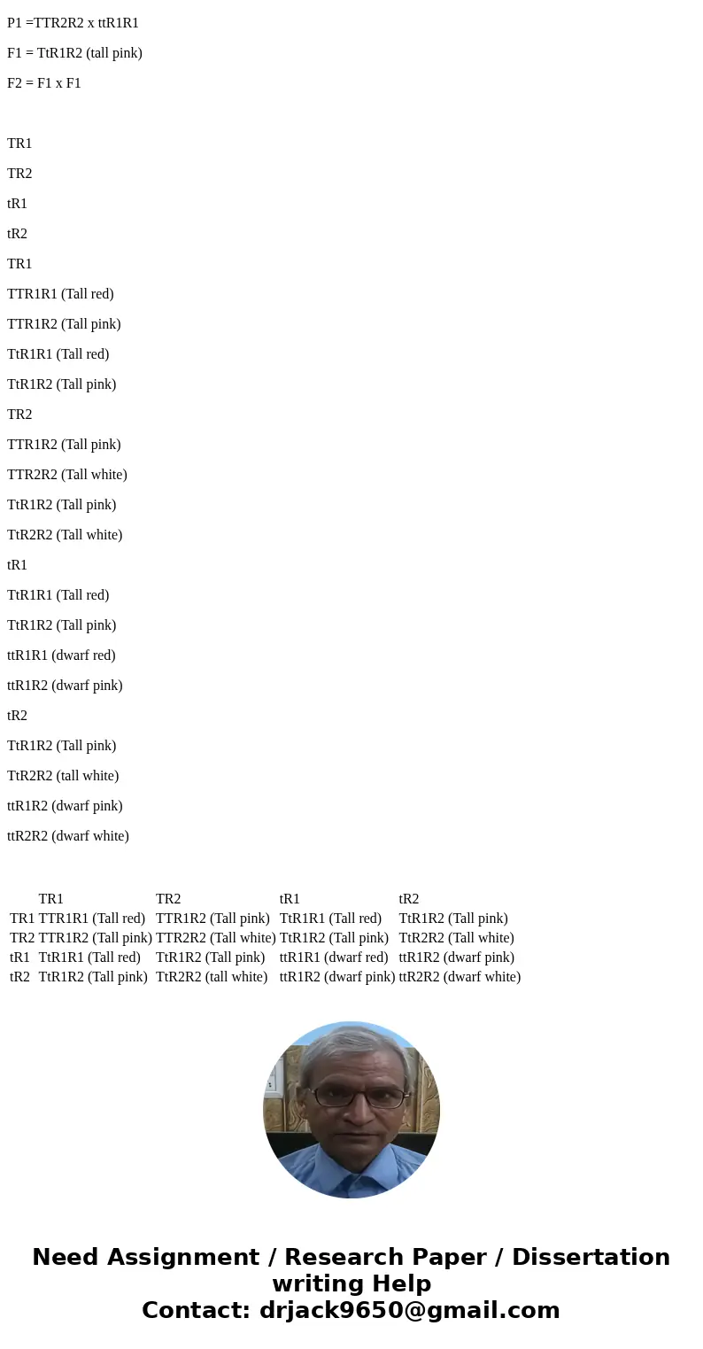 Suppose that a true breeding tall white strain is crossed to a true breeding dwarf red strain. If the F1 generation is then self-crossed, what phenotypes will b Suppose that a true breeding tall white strain is crossed to a true breeding dwarf red strain. If the F1 generation is then self-crossed, what phenotypes will b