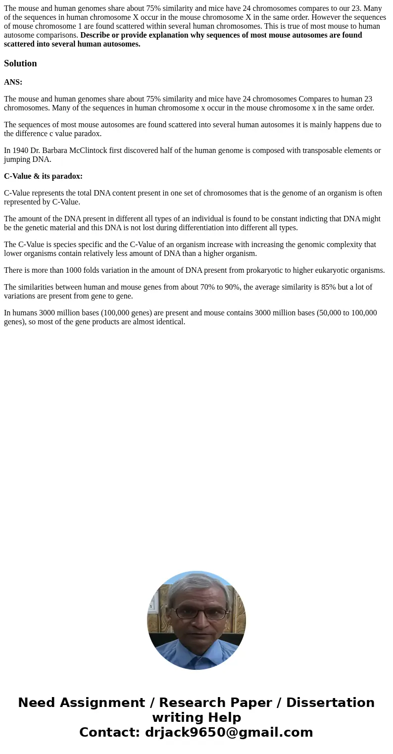 The mouse and human genomes share about 75% similarity and mice have 24 chromosomes compares to our 23. Many of the sequences in human chromosome X occur in the The mouse and human genomes share about 75% similarity and mice have 24 chromosomes compares to our 23. Many of the sequences in human chromosome X occur in the