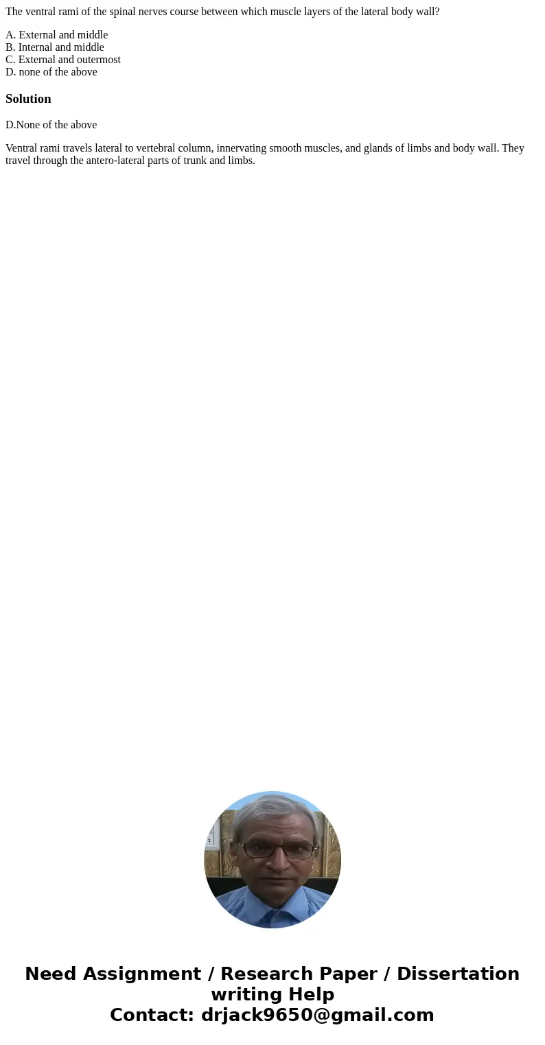 The ventral rami of the spinal nerves course between which muscle layers of the lateral body wall? A. External and middle B. Internal and middle C. External and