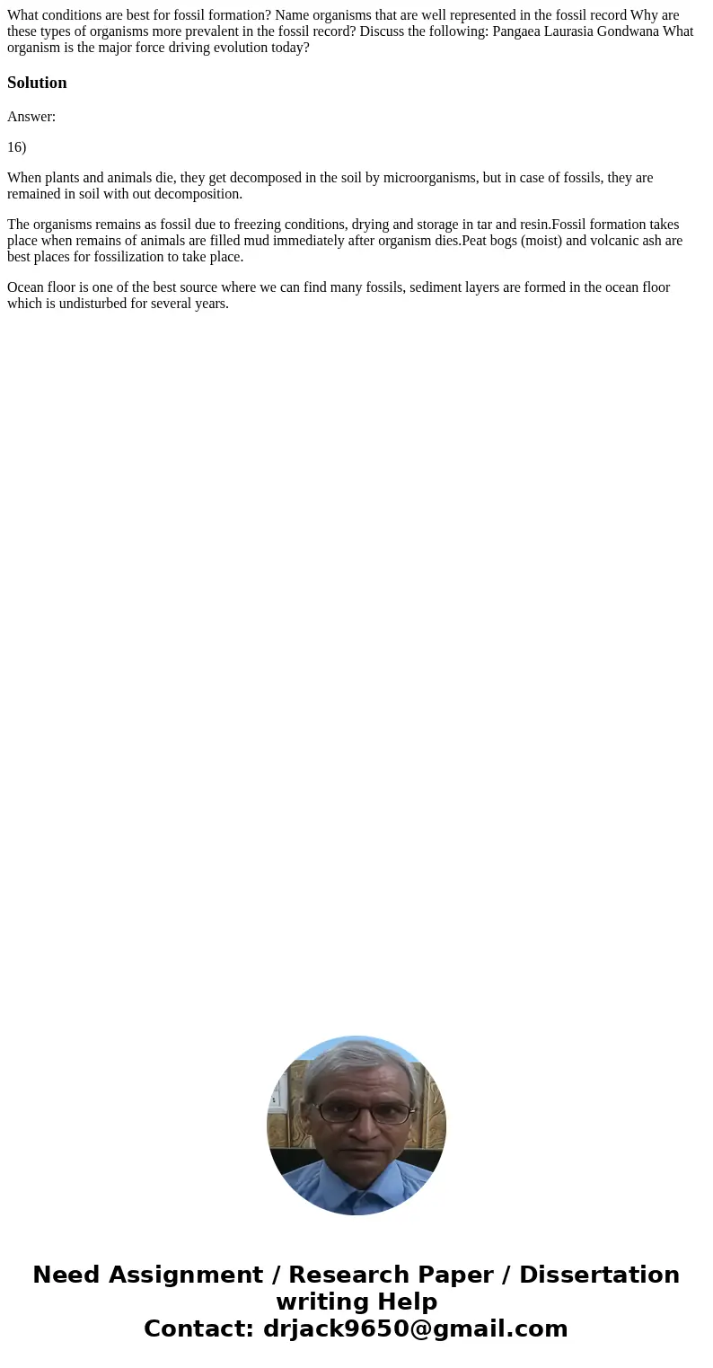 What conditions are best for fossil formation? Name organisms that are well represented in the fossil record Why are these types of organisms more prevalent in  What conditions are best for fossil formation? Name organisms that are well represented in the fossil record Why are these types of organisms more prevalent in