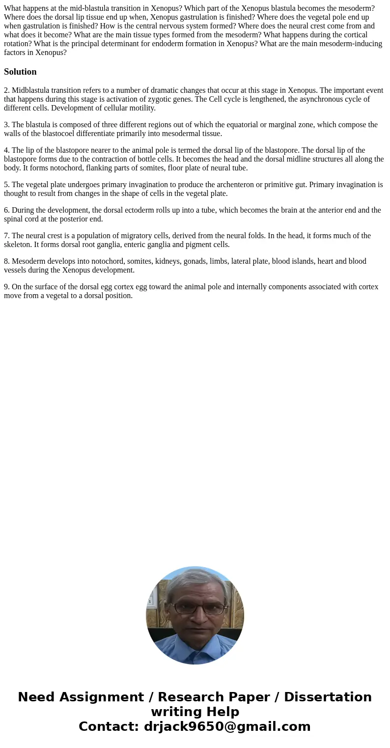 What happens at the mid-blastula transition in Xenopus? Which part of the Xenopus blastula becomes the mesoderm? Where does the dorsal lip tissue end up when,   What happens at the mid-blastula transition in Xenopus? Which part of the Xenopus blastula becomes the mesoderm? Where does the dorsal lip tissue end up when,