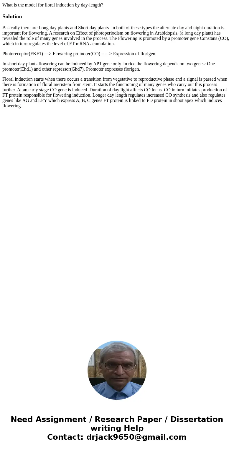 What is the model for floral induction by day-length?SolutionBasically there are Long day plants and Short day plants. In both of these types the alternate day  What is the model for floral induction by day-length?SolutionBasically there are Long day plants and Short day plants. In both of these types the alternate day