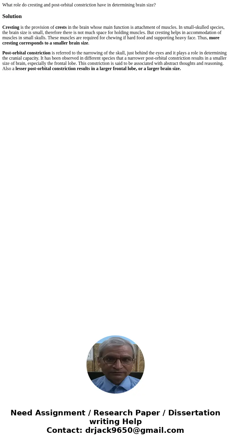What role do cresting and post-orbital constriction have in determining brain size?SolutionCresting is the provision of crests in the brain whose main function  What role do cresting and post-orbital constriction have in determining brain size?SolutionCresting is the provision of crests in the brain whose main function