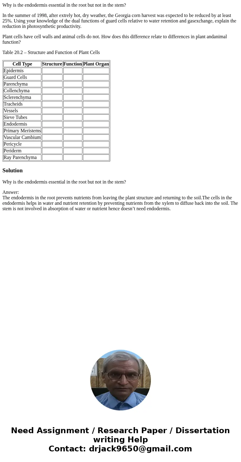 Why is the endodermis essential in the root but not in the stem? In the summer of 1998, after extrely hot, dry weather, the Georgia corn harvest was expected to Why is the endodermis essential in the root but not in the stem? In the summer of 1998, after extrely hot, dry weather, the Georgia corn harvest was expected to