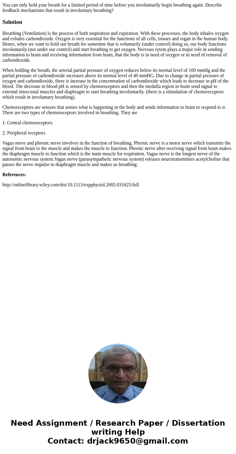 You can only hold your breath for a limited period of time before you involuntarily begin breathing again. Describe feedback mechanisms that result in involunta You can only hold your breath for a limited period of time before you involuntarily begin breathing again. Describe feedback mechanisms that result in involunta