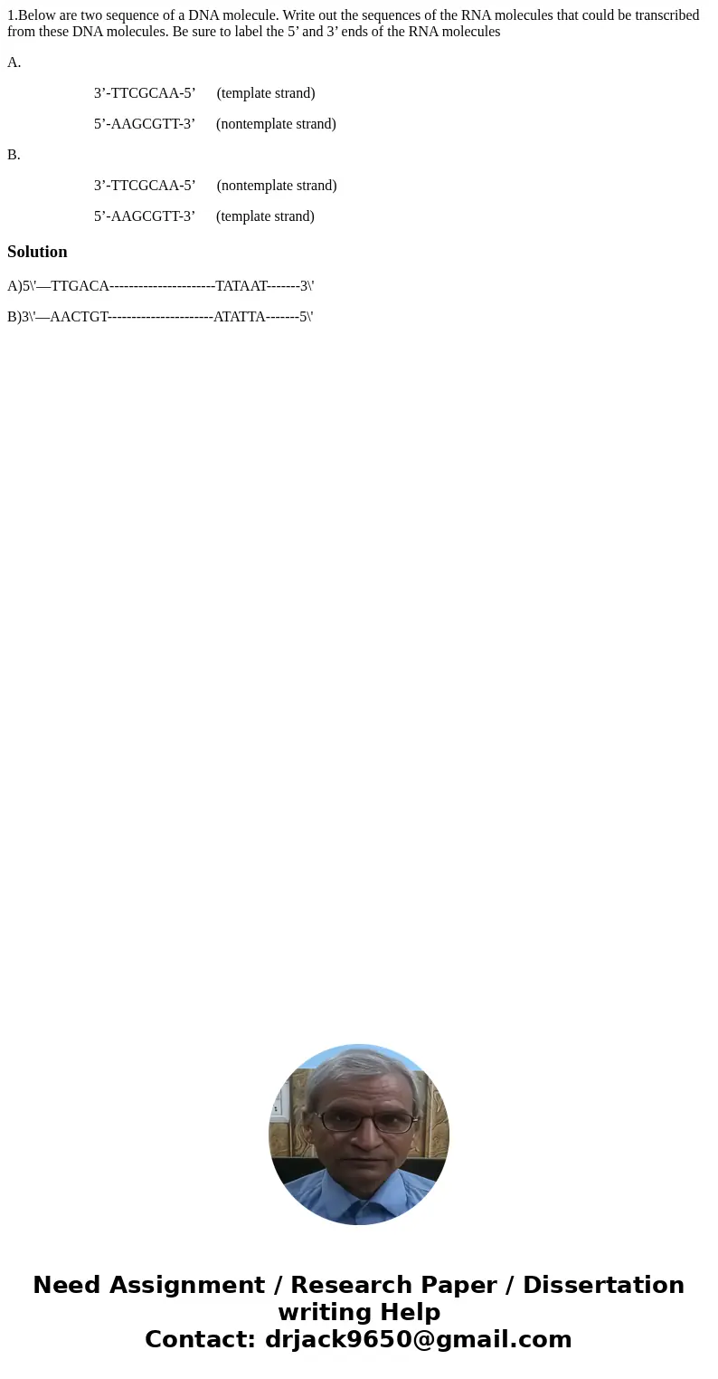 1.Below are two sequence of a DNA molecule. Write out the sequences of the RNA molecules that could be transcribed from these DNA molecules. Be sure to label th 1.Below are two sequence of a DNA molecule. Write out the sequences of the RNA molecules that could be transcribed from these DNA molecules. Be sure to label th