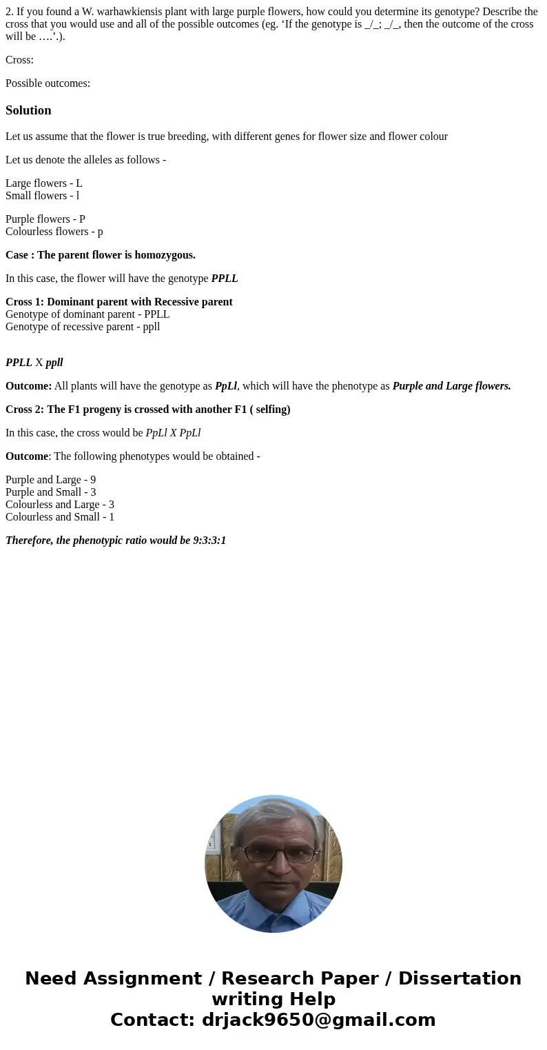 2. If you found a W. warhawkiensis plant with large purple flowers, how could you determine its genotype? Describe the cross that you would use and all of the p 2. If you found a W. warhawkiensis plant with large purple flowers, how could you determine its genotype? Describe the cross that you would use and all of the p