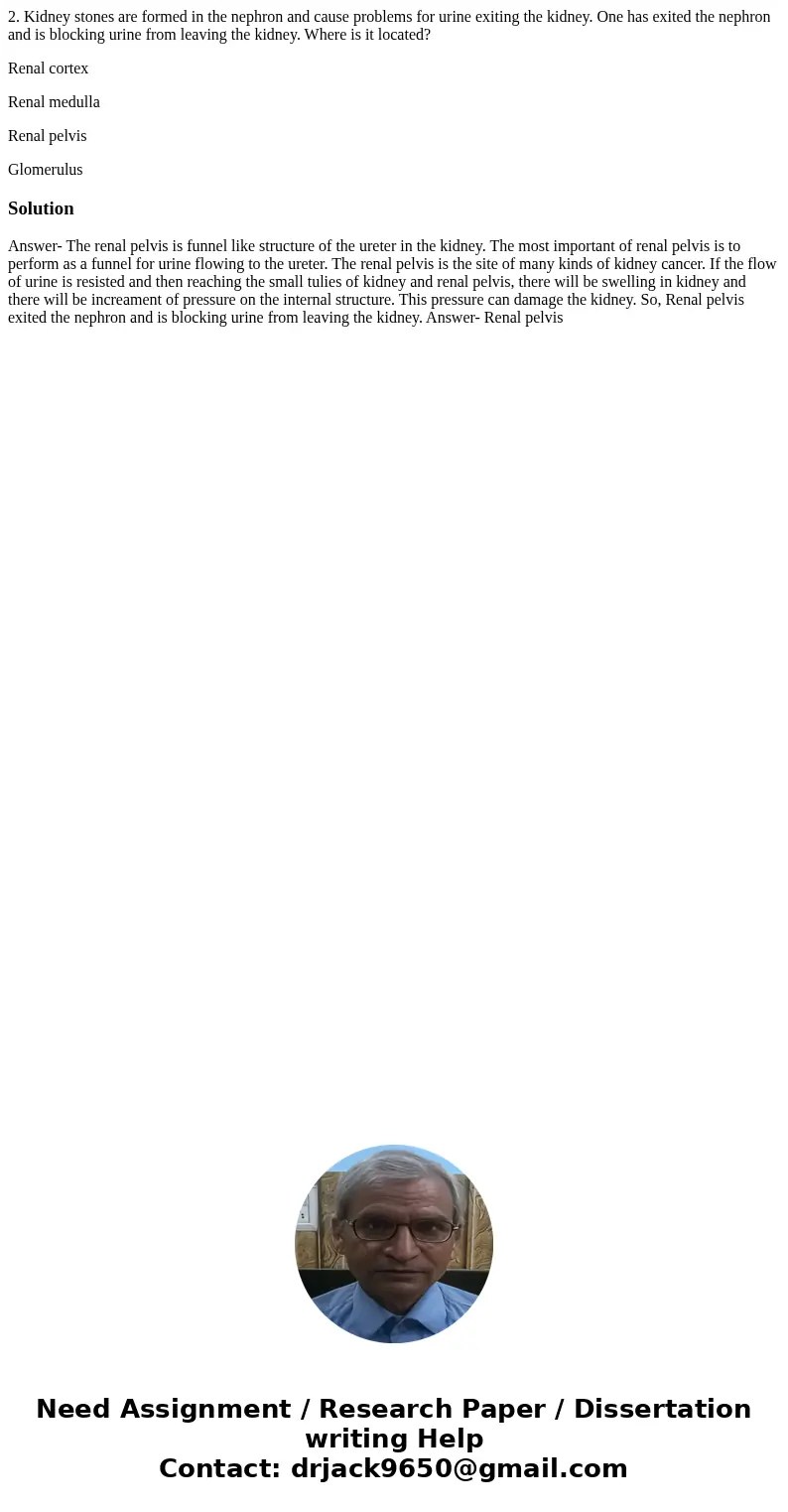 2. Kidney stones are formed in the nephron and cause problems for urine exiting the kidney. One has exited the nephron and is blocking urine from leaving the ki 2. Kidney stones are formed in the nephron and cause problems for urine exiting the kidney. One has exited the nephron and is blocking urine from leaving the ki