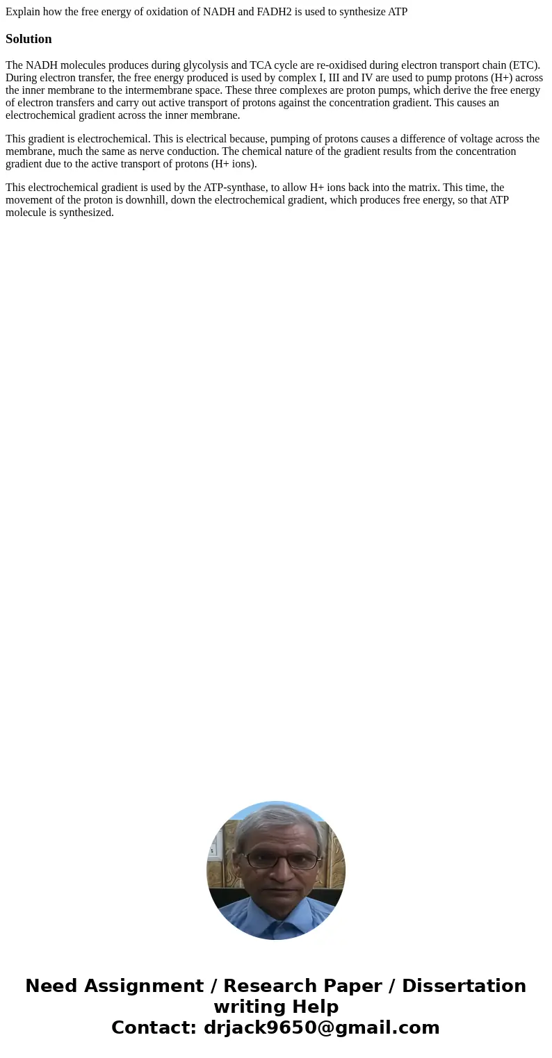 Explain how the free energy of oxidation of NADH and FADH2 is used to synthesize ATPSolutionThe NADH molecules produces during glycolysis and TCA cycle are re-o Explain how the free energy of oxidation of NADH and FADH2 is used to synthesize ATPSolutionThe NADH molecules produces during glycolysis and TCA cycle are re-o