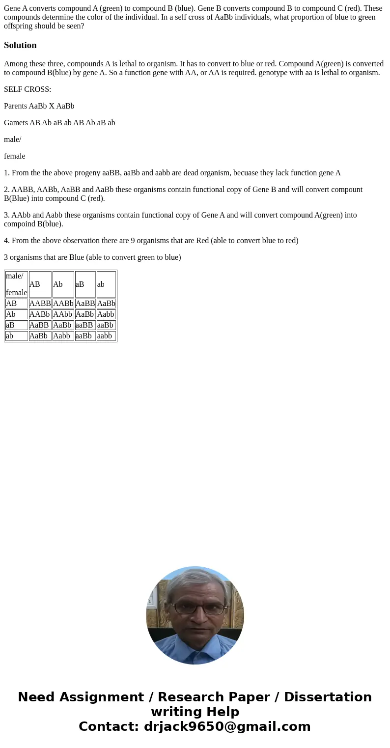 Gene A converts compound A (green) to compound B (blue). Gene B converts compound B to compound C (red). These compounds determine the color of the individual.  Gene A converts compound A (green) to compound B (blue). Gene B converts compound B to compound C (red). These compounds determine the color of the individual.
