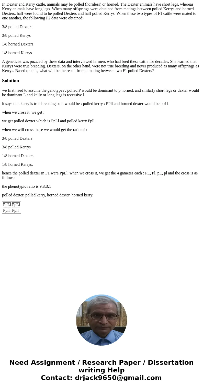 In Dexter and Kerry cattle, animals may be polled (hornless) or horned. The Dexter animals have short legs, whereas Kerry animals have long legs. When many offs In Dexter and Kerry cattle, animals may be polled (hornless) or horned. The Dexter animals have short legs, whereas Kerry animals have long legs. When many offs