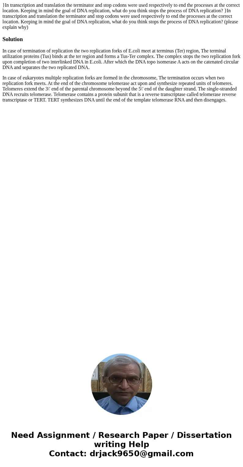 }In transcription and translation the terminator and stop codons were used respectively to end the processes at the correct location. Keeping in mind the goal o }In transcription and translation the terminator and stop codons were used respectively to end the processes at the correct location. Keeping in mind the goal o
