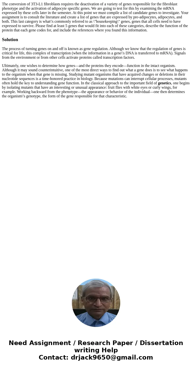The conversion of 3T3-L1 fibroblasts requires the deactivation of a variety of genes responsible for the fibroblast phenotype and the activation of adipocyte sp The conversion of 3T3-L1 fibroblasts requires the deactivation of a variety of genes responsible for the fibroblast phenotype and the activation of adipocyte sp