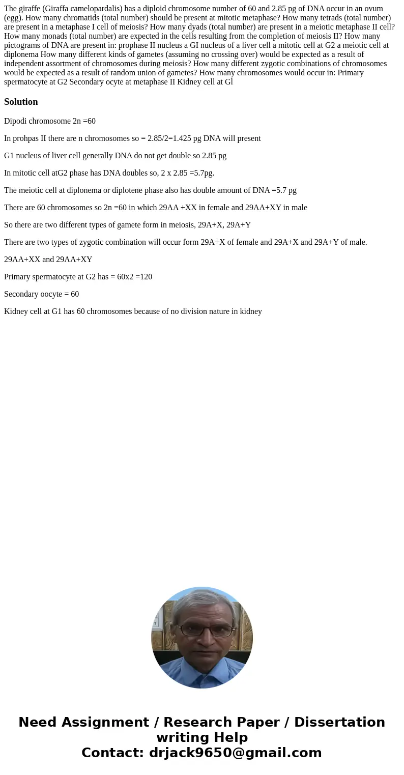 The giraffe (Giraffa camelopardalis) has a diploid chromosome number of 60 and 2.85 pg of DNA occur in an ovum (egg). How many chromatids (total number) should  The giraffe (Giraffa camelopardalis) has a diploid chromosome number of 60 and 2.85 pg of DNA occur in an ovum (egg). How many chromatids (total number) should