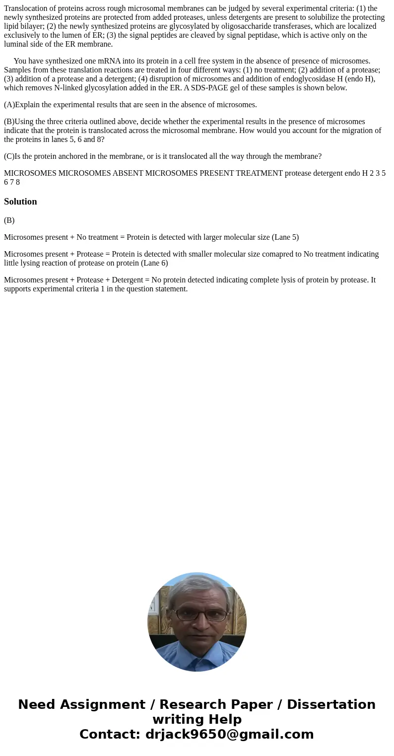 Translocation of proteins across rough microsomal membranes can be judged by several experimental criteria: (1) the newly synthesized proteins are protected fro Translocation of proteins across rough microsomal membranes can be judged by several experimental criteria: (1) the newly synthesized proteins are protected fro