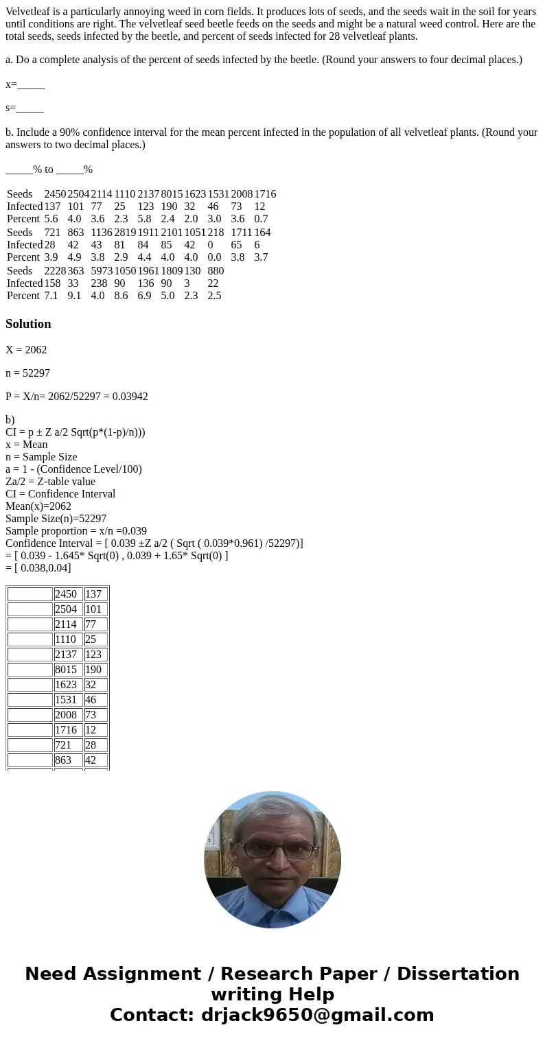 Velvetleaf is a particularly annoying weed in corn fields. It produces lots of seeds, and the seeds wait in the soil for years until conditions are right. The v Velvetleaf is a particularly annoying weed in corn fields. It produces lots of seeds, and the seeds wait in the soil for years until conditions are right. The v