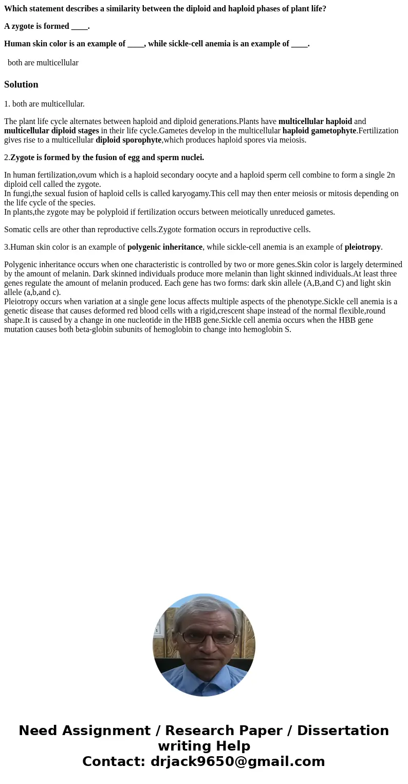 Which statement describes a similarity between the diploid and haploid phases of plant life? A zygote is formed ____. Human skin color is an example of ____, wh Which statement describes a similarity between the diploid and haploid phases of plant life? A zygote is formed ____. Human skin color is an example of ____, wh