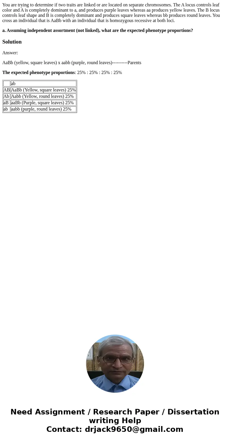 You are trying to determine if two traits are linked or are located on separate chromosomes. The A locus controls leaf color and A is completely dominant to a,  You are trying to determine if two traits are linked or are located on separate chromosomes. The A locus controls leaf color and A is completely dominant to a,