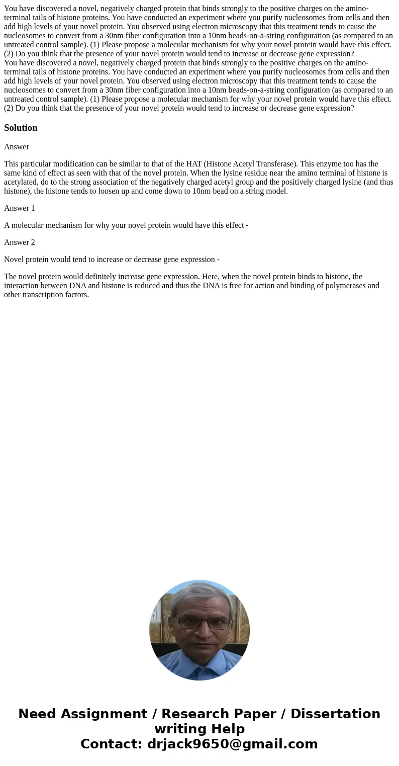 You have discovered a novel, negatively charged protein that binds strongly to the positive charges on the amino-terminal tails of histone proteins. You have co