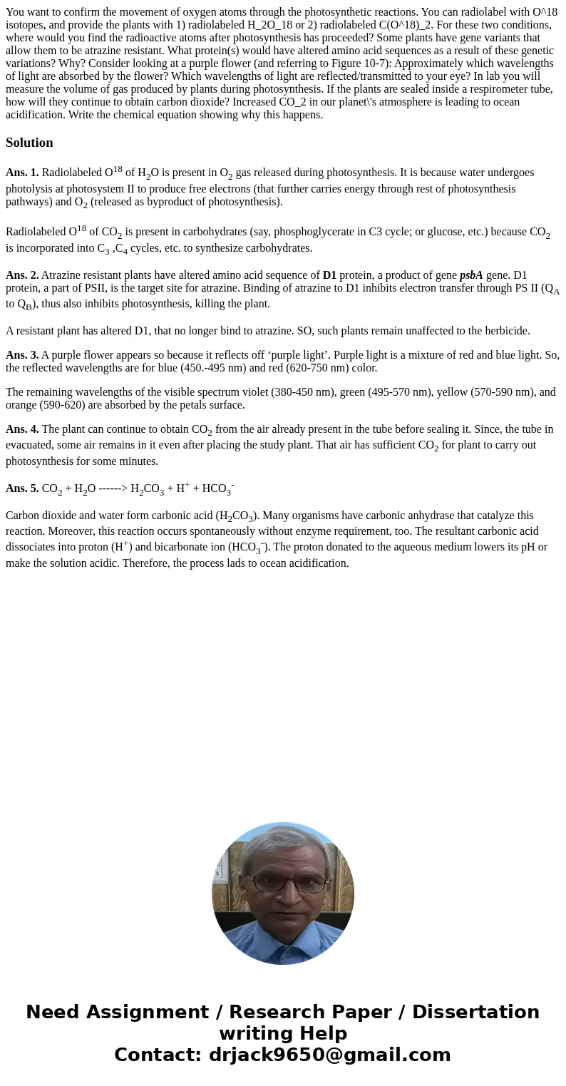 You want to confirm the movement of oxygen atoms through the photosynthetic reactions. You can radiolabel with O^18 isotopes, and provide the plants with 1) ra  You want to confirm the movement of oxygen atoms through the photosynthetic reactions. You can radiolabel with O^18 isotopes, and provide the plants with 1) ra
