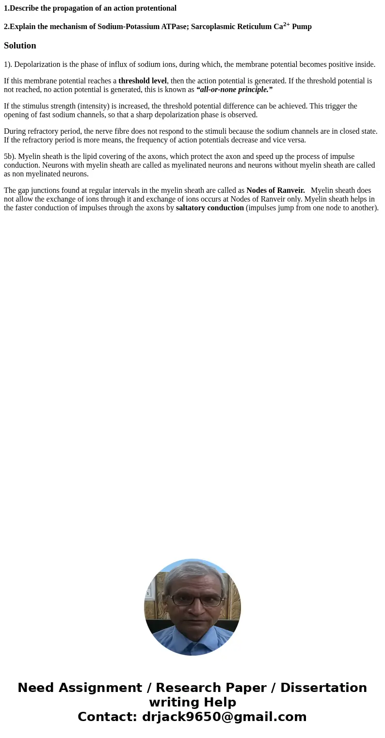 1.Describe the propagation of an action protentional 2.Explain the mechanism of Sodium-Potassium ATPase; Sarcoplasmic Reticulum Ca2+ PumpSolution1). Depolarizat