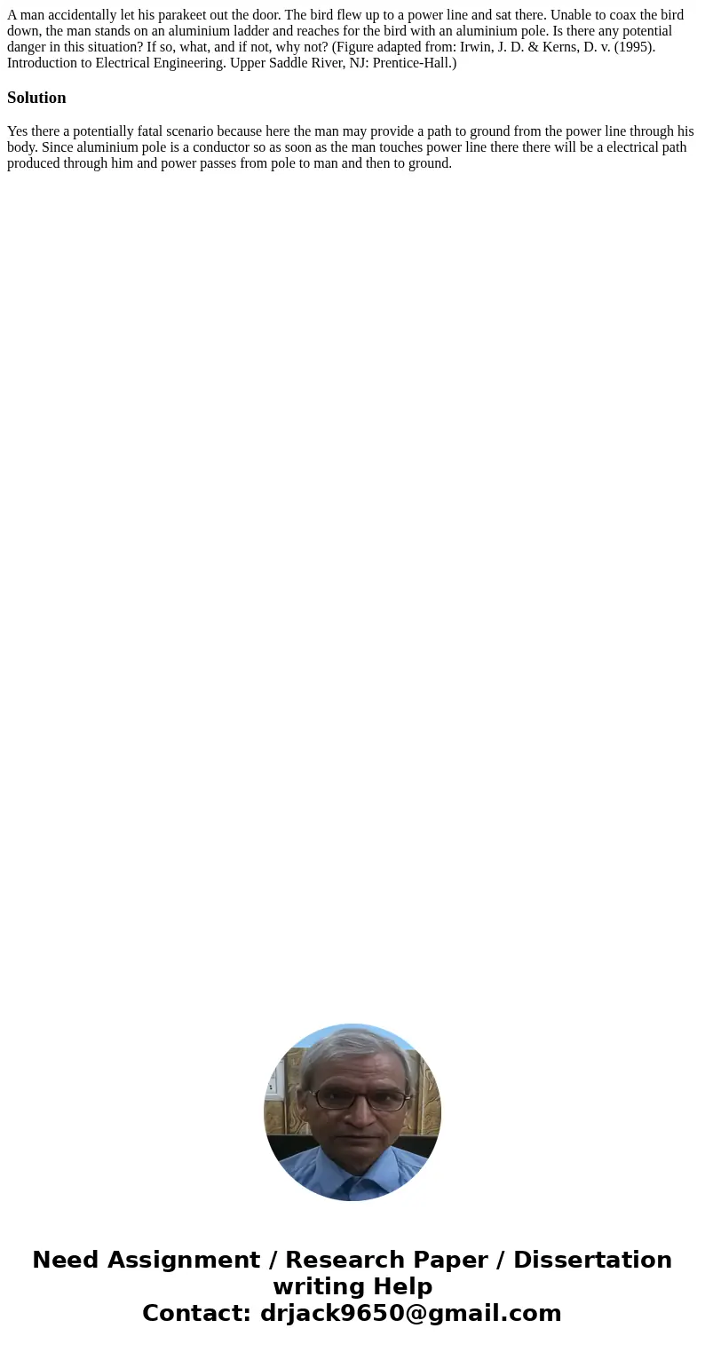 A man accidentally let his parakeet out the door. The bird flew up to a power line and sat there. Unable to coax the bird down, the man stands on an aluminium   A man accidentally let his parakeet out the door. The bird flew up to a power line and sat there. Unable to coax the bird down, the man stands on an aluminium