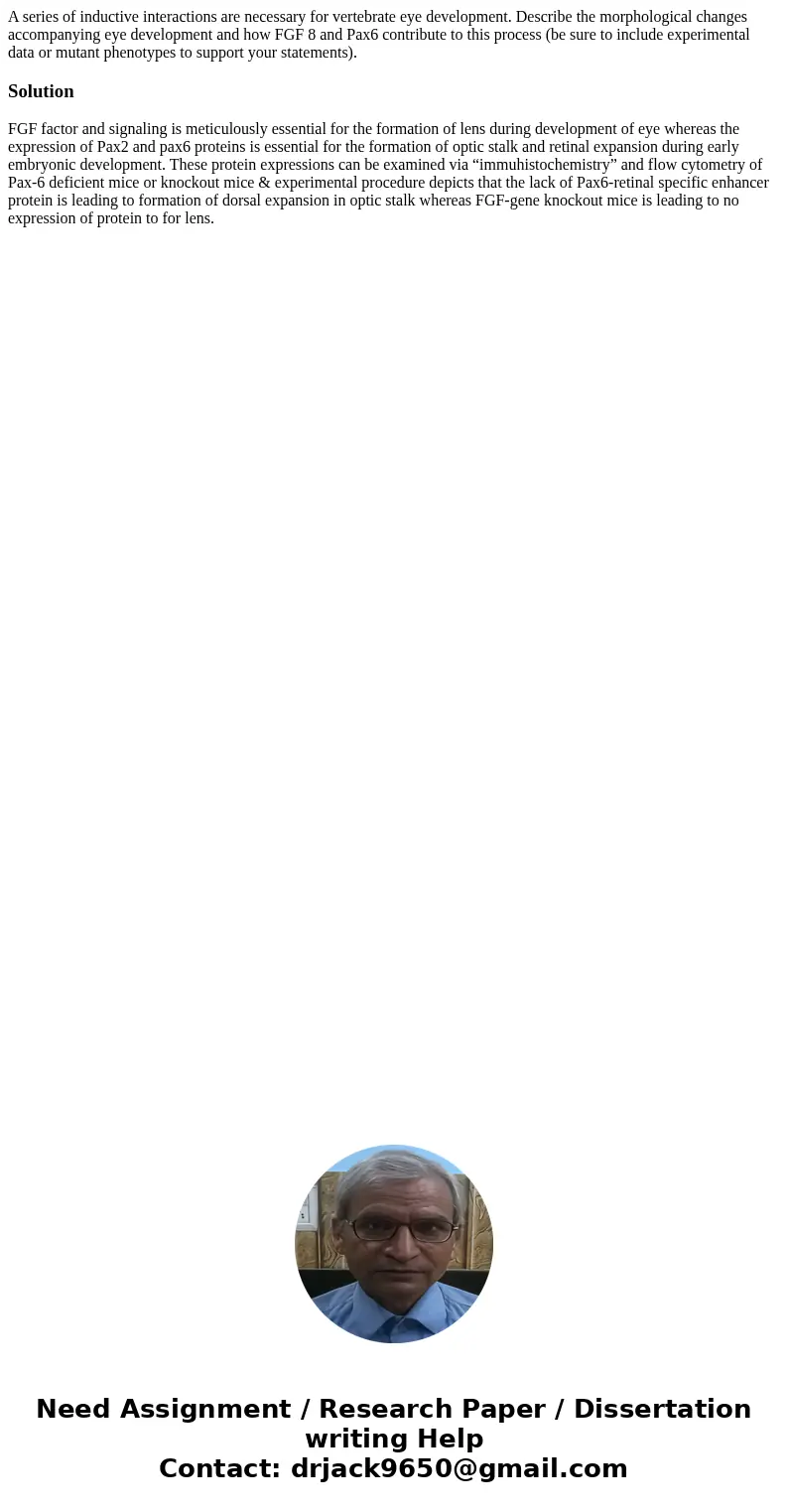 A series of inductive interactions are necessary for vertebrate eye development. Describe the morphological changes accompanying eye development and how FGF 8 a