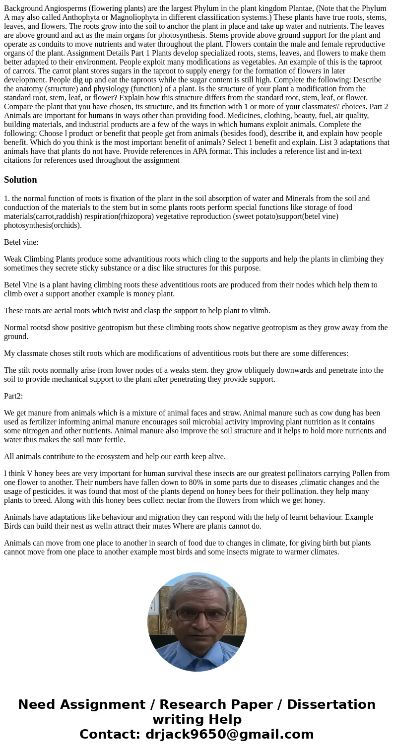  Background Angiosperms (flowering plants) are the largest Phylum in the plant kingdom Plantae, (Note that the Phylum A may also called Anthophyta or Magnolioph
