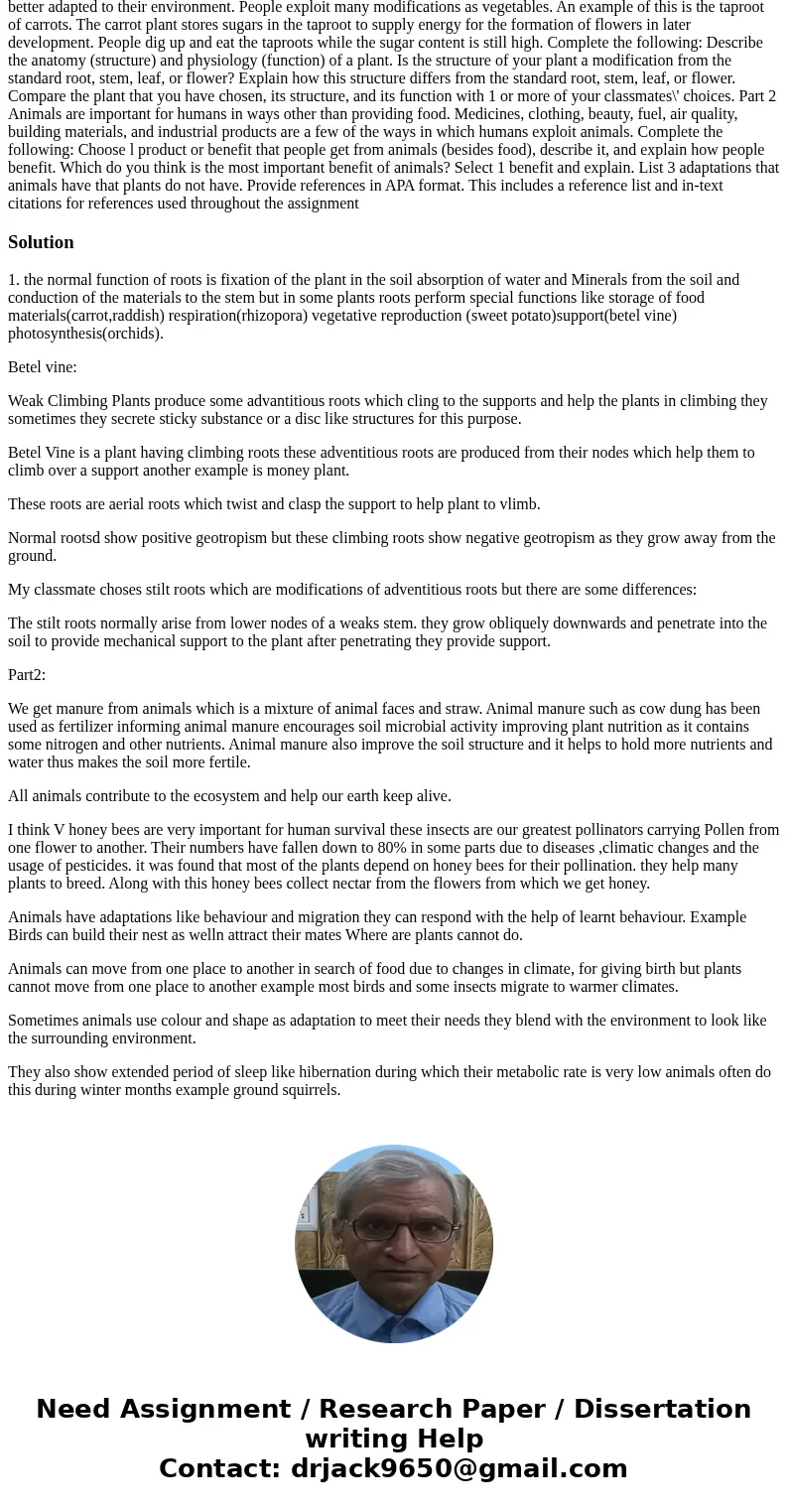  Background Angiosperms (flowering plants) are the largest Phylum in the plant kingdom Plantae, (Note that the Phylum A may also called Anthophyta or Magnolioph