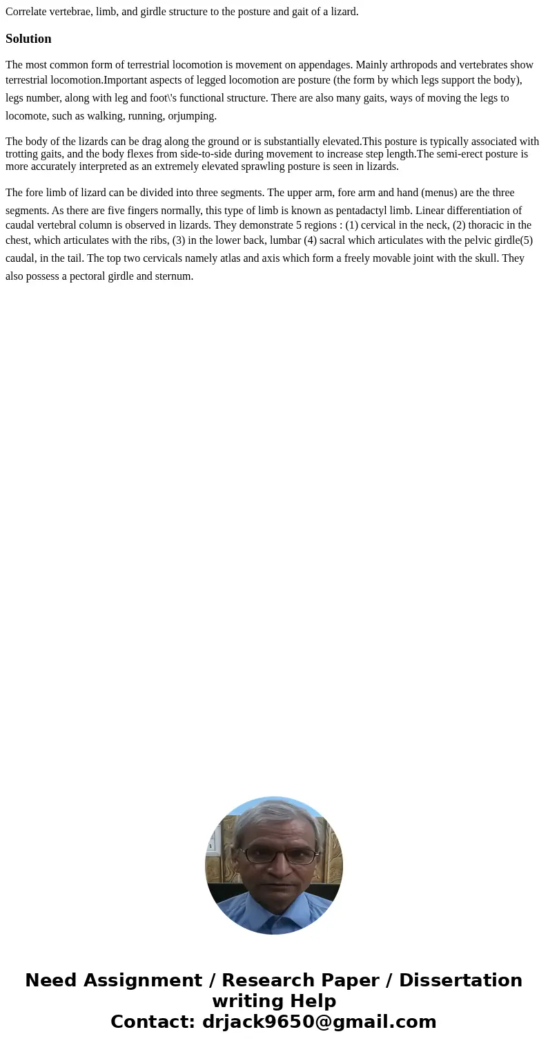 Correlate vertebrae, limb, and girdle structure to the posture and gait of a lizard.SolutionThe most common form of terrestrial locomotion is movement on append Correlate vertebrae, limb, and girdle structure to the posture and gait of a lizard.SolutionThe most common form of terrestrial locomotion is movement on append