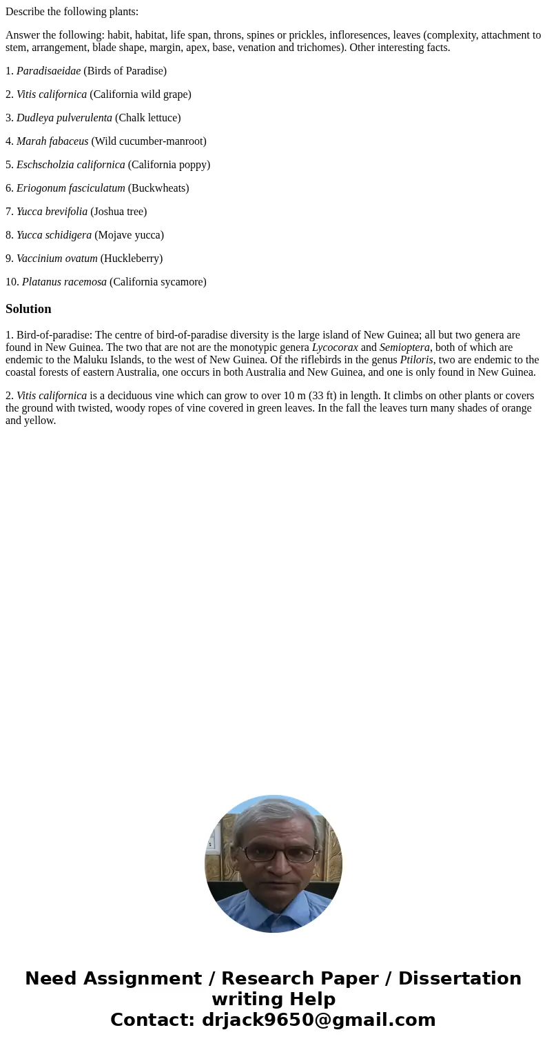 Describe the following plants: Answer the following: habit, habitat, life span, throns, spines or prickles, infloresences, leaves (complexity, attachment to ste Describe the following plants: Answer the following: habit, habitat, life span, throns, spines or prickles, infloresences, leaves (complexity, attachment to ste