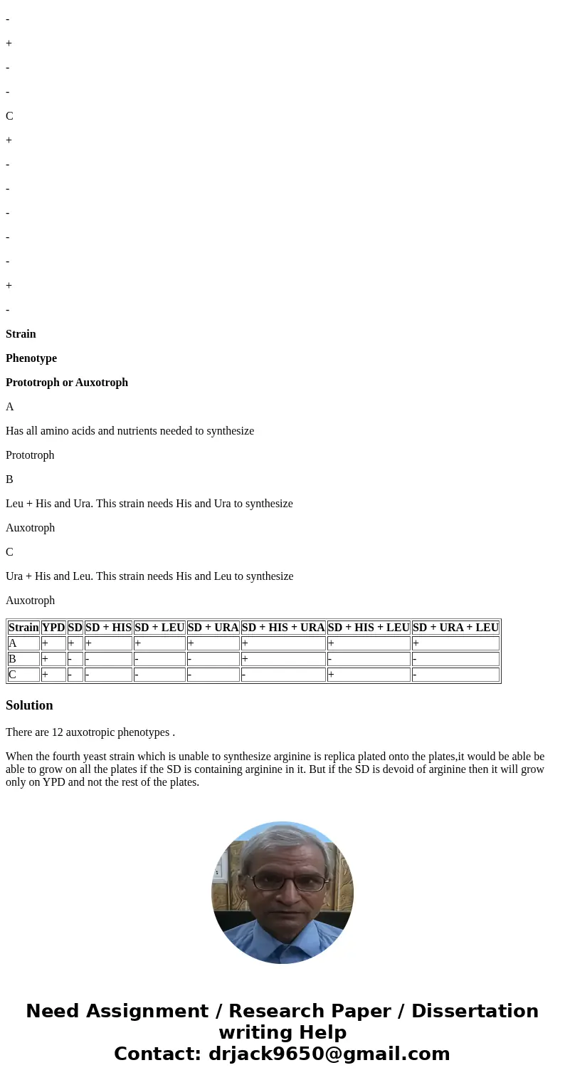 . How many different auxotrophic phenotypes are represented in your collection of three yeast strains? Suppose you had a fourth yeast strain that was haploid an . How many different auxotrophic phenotypes are represented in your collection of three yeast strains? Suppose you had a fourth yeast strain that was haploid an