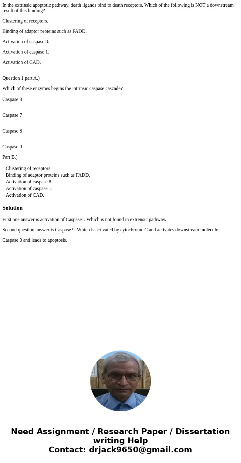 In the extrinsic apoptotic pathway, death ligands bind to death receptors. Which of the following is NOT a downstream result of this binding? Clustering of rece In the extrinsic apoptotic pathway, death ligands bind to death receptors. Which of the following is NOT a downstream result of this binding? Clustering of rece