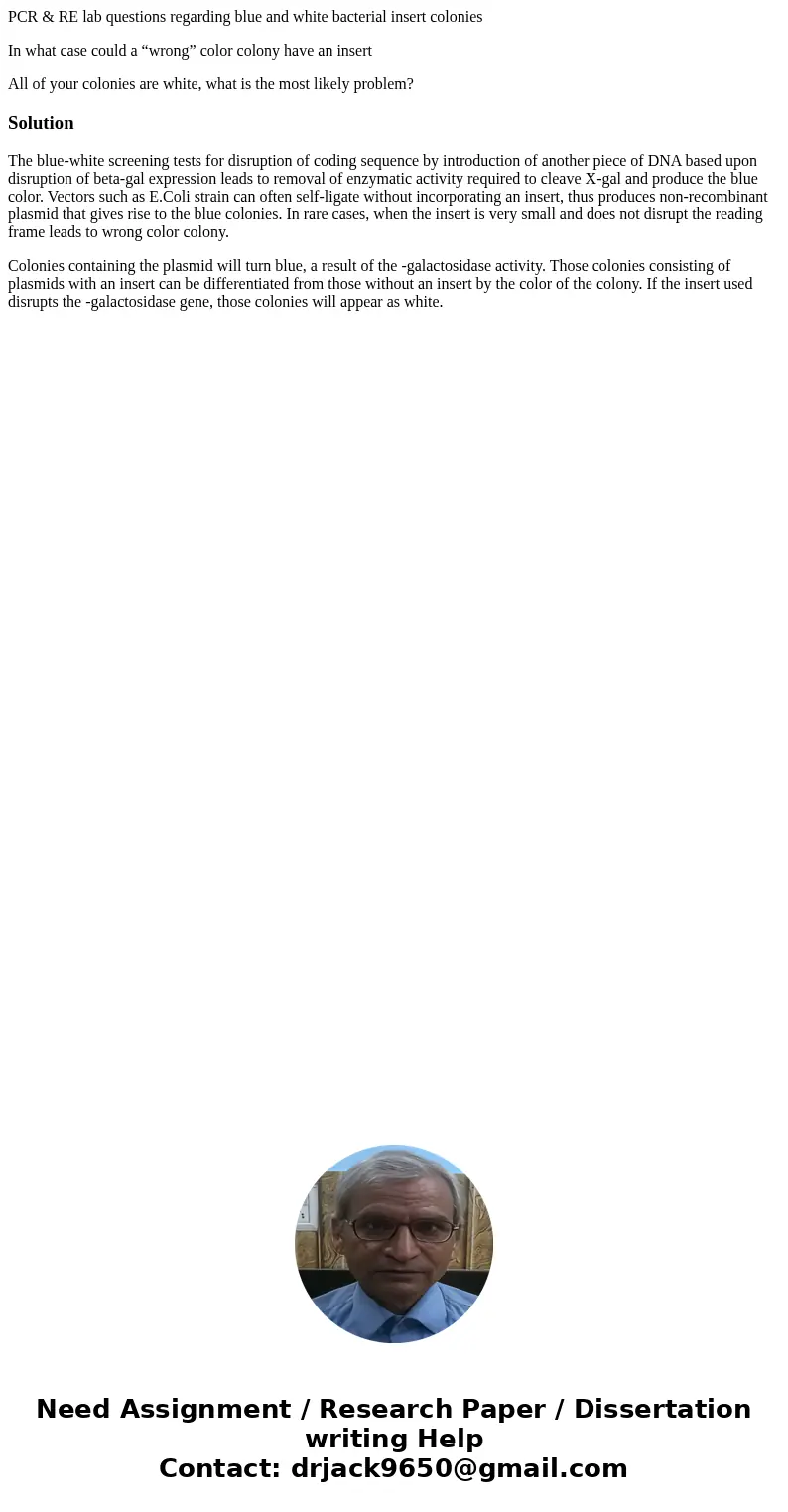 PCR & RE lab questions regarding blue and white bacterial insert colonies In what case could a “wrong” color colony have an insert All of your colonies are 