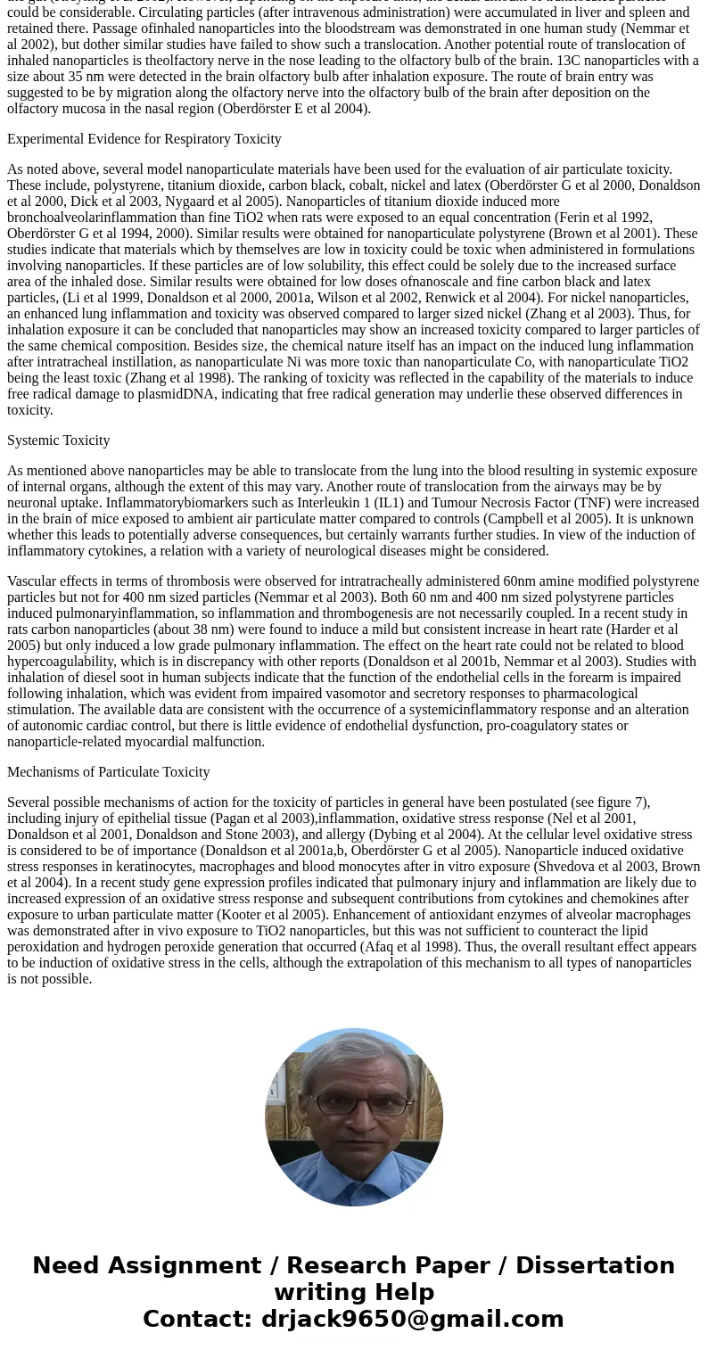 Please identify what kind of potential risks that stainless steel nanoparticles can cause inside the body (considering different locations?)SolutionThe role of 