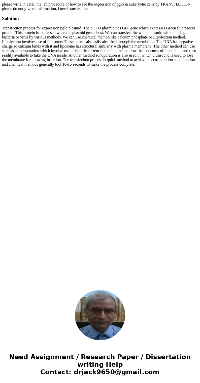 please write in detail the lab procedure of how to see the expression of pglo in eukaryotic cells by TRANSFECTION. please do not give transformation, i need tra please write in detail the lab procedure of how to see the expression of pglo in eukaryotic cells by TRANSFECTION. please do not give transformation, i need tra