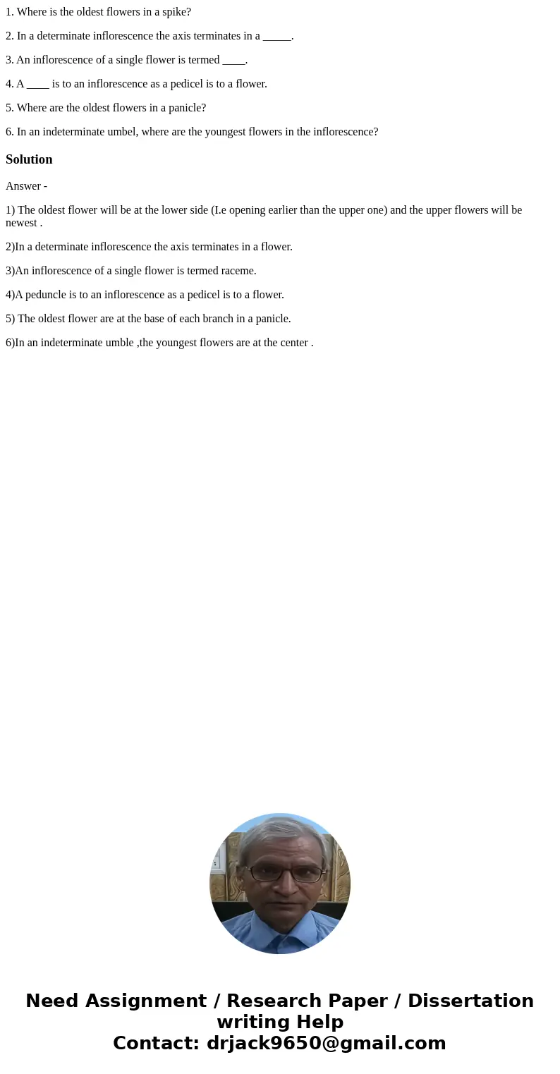 1. Where is the oldest flowers in a spike? 2. In a determinate inflorescence the axis terminates in a _____. 3. An inflorescence of a single flower is termed __ 1. Where is the oldest flowers in a spike? 2. In a determinate inflorescence the axis terminates in a _____. 3. An inflorescence of a single flower is termed __