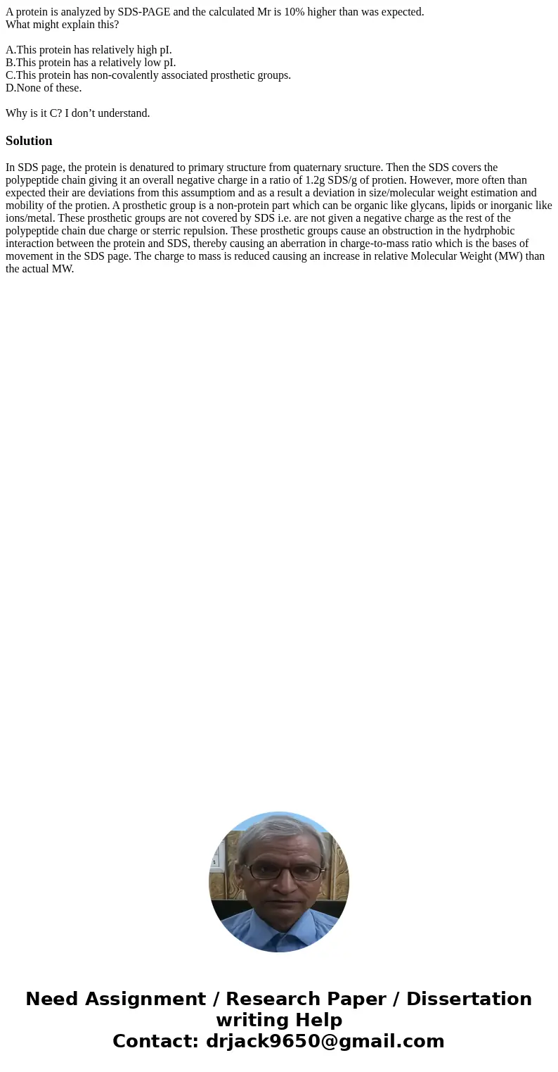 A protein is analyzed by SDS-PAGE and the calculated Mr is 10% higher than was expected. What might explain this? A.This protein has relatively high pI. B.This  A protein is analyzed by SDS-PAGE and the calculated Mr is 10% higher than was expected. What might explain this? A.This protein has relatively high pI. B.This